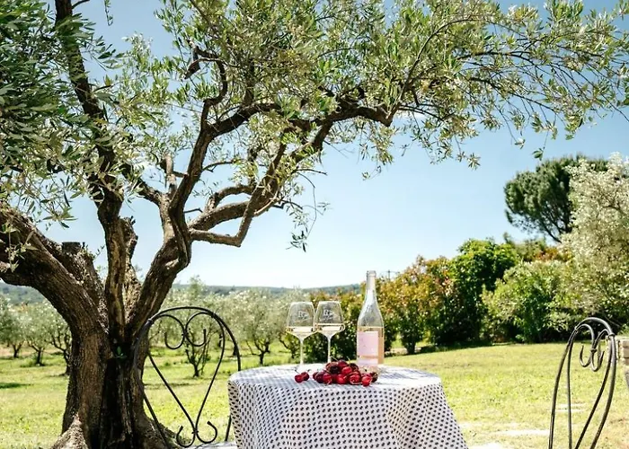 Flucht In Domaene Givaudan By Interhome * Cavillargues